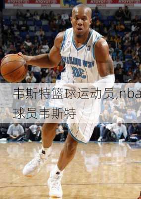 韦斯特篮球运动员,nba球员韦斯特