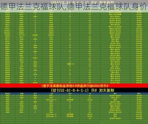 德甲法兰克福球队,德甲法兰克福球队身价