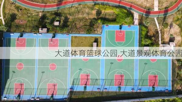 大道体育篮球公园,大道景观体育公园