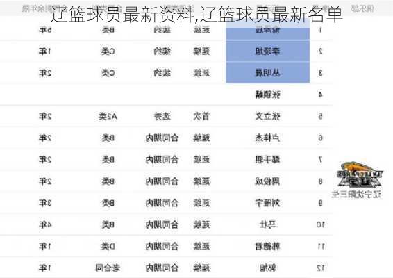 辽篮球员最新资料,辽篮球员最新名单