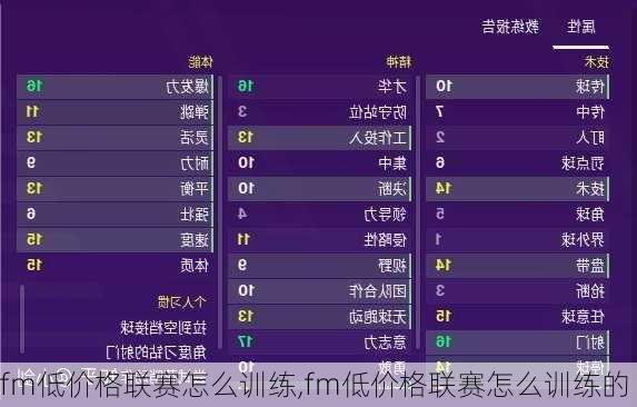 fm低价格联赛怎么训练,fm低价格联赛怎么训练的