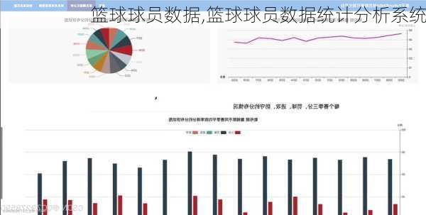 篮球球员数据,篮球球员数据统计分析系统