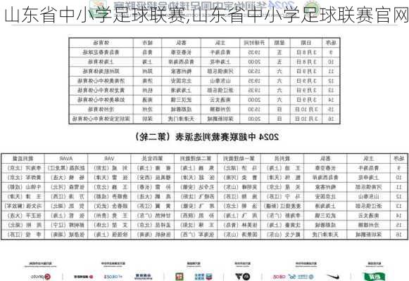 山东省中小学足球联赛,山东省中小学足球联赛官网