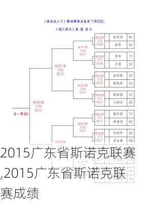 2015广东省斯诺克联赛,2015广东省斯诺克联赛成绩