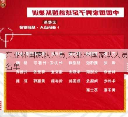 东亚杯国家队人员,东亚杯国家队人员名单