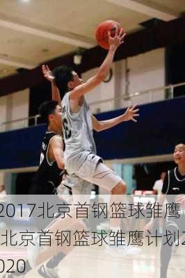 2017北京首钢篮球雏鹰,北京首钢篮球雏鹰计划2020