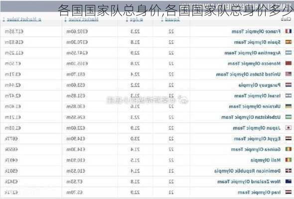 各国国家队总身价,各国国家队总身价多少