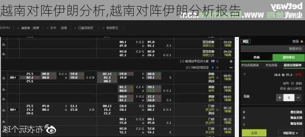 越南对阵伊朗分析,越南对阵伊朗分析报告