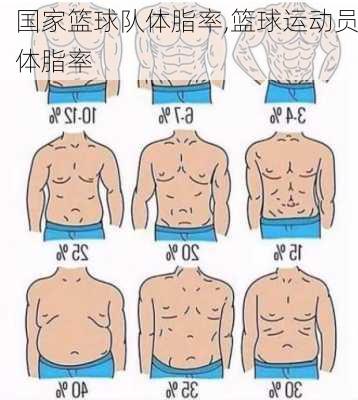 国家篮球队体脂率,篮球运动员体脂率