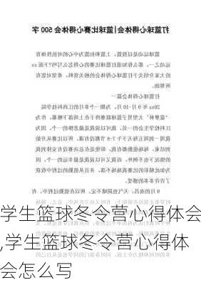 学生篮球冬令营心得体会,学生篮球冬令营心得体会怎么写