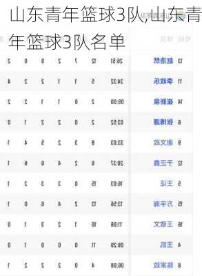 山东青年篮球3队,山东青年篮球3队名单