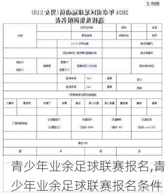 青少年业余足球联赛报名,青少年业余足球联赛报名条件