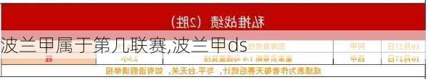 波兰甲属于第几联赛,波兰甲ds