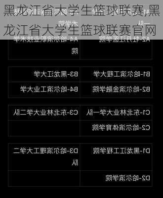 黑龙江省大学生篮球联赛,黑龙江省大学生篮球联赛官网