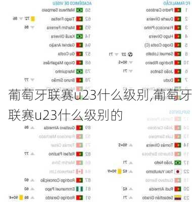 葡萄牙联赛u23什么级别,葡萄牙联赛u23什么级别的
