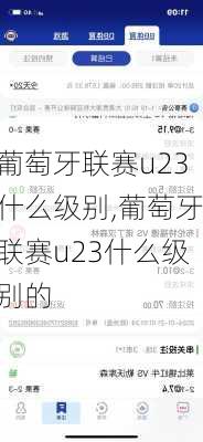 葡萄牙联赛u23什么级别,葡萄牙联赛u23什么级别的