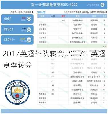 2017英超各队转会,2017年英超夏季转会