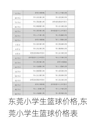 东莞小学生篮球价格,东莞小学生篮球价格表