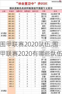 围甲联赛2020队伍,围甲联赛2020有哪些队伍