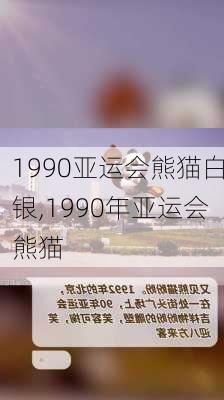 1990亚运会熊猫白银,1990年亚运会熊猫