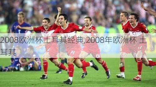 2008欧洲杯土耳其经典,2008年欧洲杯 土耳其