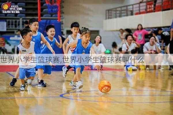 世界小学生篮球赛,世界小学生篮球赛叫什么