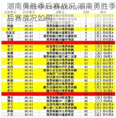 湖南勇胜季后赛战况,湖南勇胜季后赛战况如何