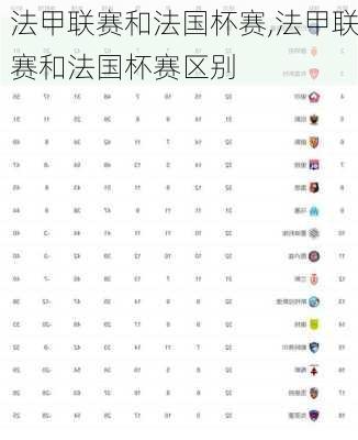 法甲联赛和法国杯赛,法甲联赛和法国杯赛区别