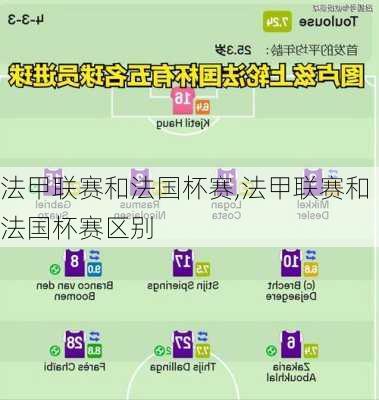 法甲联赛和法国杯赛,法甲联赛和法国杯赛区别