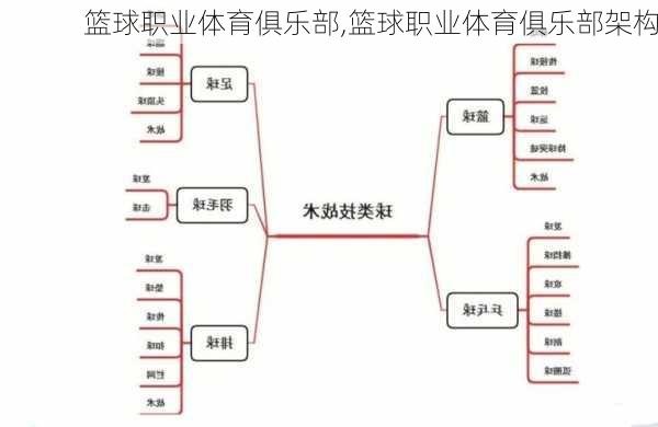 篮球职业体育俱乐部,篮球职业体育俱乐部架构