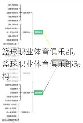 篮球职业体育俱乐部,篮球职业体育俱乐部架构