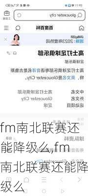 fm南北联赛还能降级么,fm南北联赛还能降级么
