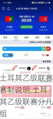 土耳其乙级联赛赛制说明,土耳其乙级联赛分几组