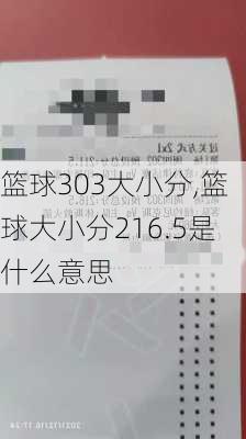 篮球303大小分,篮球大小分216.5是什么意思