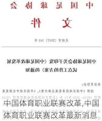 中国体育职业联赛改革,中国体育职业联赛改革最新消息