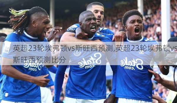 英超23轮埃弗顿vs斯旺西预测,英超23轮埃弗顿vs斯旺西预测比分