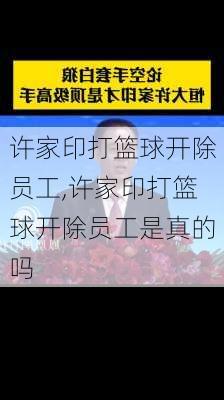 许家印打篮球开除员工,许家印打篮球开除员工是真的吗