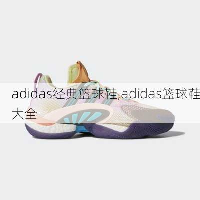 adidas经典篮球鞋,adidas篮球鞋大全