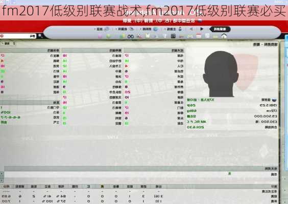 fm2017低级别联赛战术,fm2017低级别联赛必买