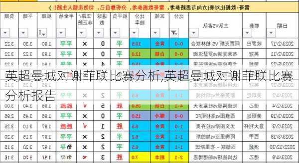英超曼城对谢菲联比赛分析,英超曼城对谢菲联比赛分析报告