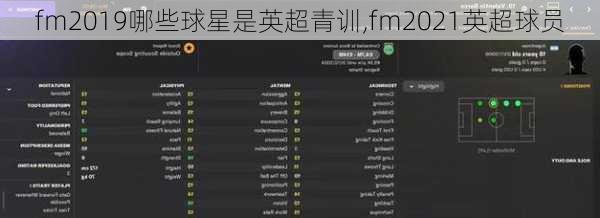 fm2019哪些球星是英超青训,fm2021英超球员