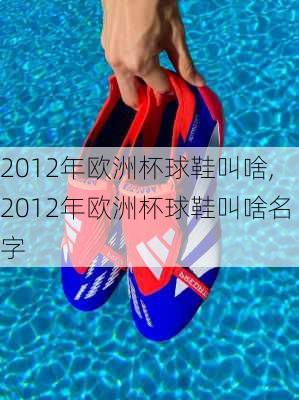 2012年欧洲杯球鞋叫啥,2012年欧洲杯球鞋叫啥名字