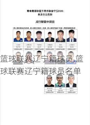 篮球联赛辽宁籍球员,篮球联赛辽宁籍球员名单