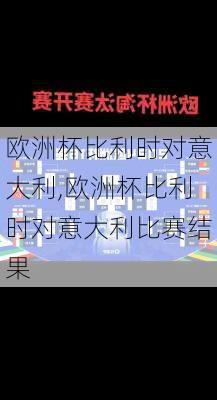 欧洲杯比利时对意大利,欧洲杯比利时对意大利比赛结果