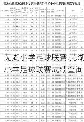 芜湖小学足球联赛,芜湖小学足球联赛成绩查询