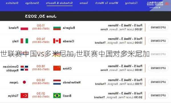 世联赛中国vs多米尼加,世联赛中国对多米尼加
