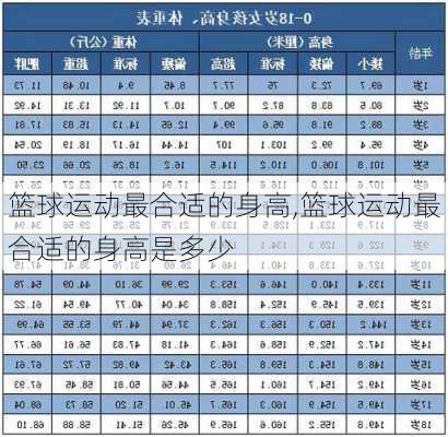 篮球运动最合适的身高,篮球运动最合适的身高是多少