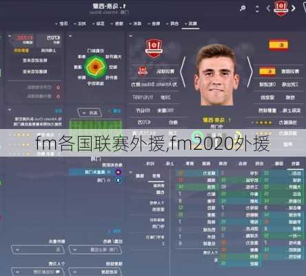 fm各国联赛外援,fm2020外援