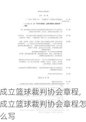 成立篮球裁判协会章程,成立篮球裁判协会章程怎么写