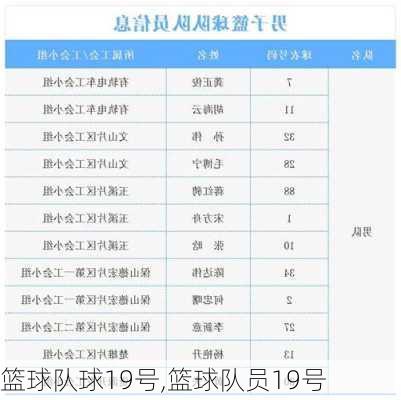 篮球队球19号,篮球队员19号